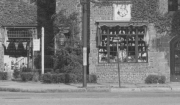 Roth_Business_llr048wd2