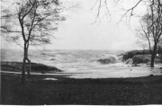 Roth_ManorPark_llrw163