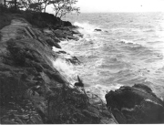 Roth_ManorPark_llrw168