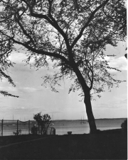 Roth_ManorPark_llrw228