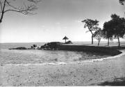 Roth_ManorPark_llrw267