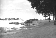 Roth_ManorPark_llrw269