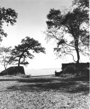 Roth_ManorPark_llrw272