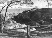 Roth_ManorPark_llrw281