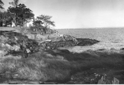 Roth_ManorPark_llrw283