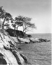 Roth_ManorPark_llrw284