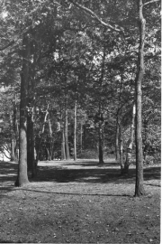 Roth_ManorPark_llrw286
