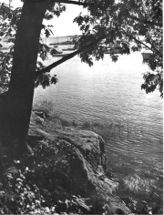Roth_ManorPark_llrw287