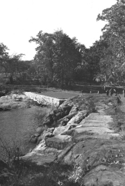 Roth_ManorPark_llrw290