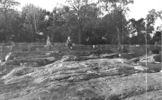 Roth_ManorPark_llrw294