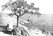 Roth_ManorPark_llrw296