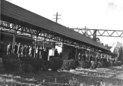Roth_Railroad_llrw076