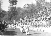 Roth_Schools_llrw307