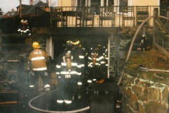 LG_2008_feldfire