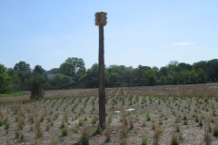 LG_2008_flintbirhouse