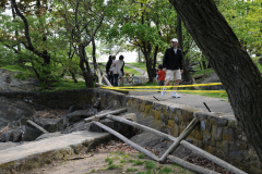 LG_2009_ManorPark_Vandalism_NIK_1563