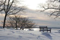 LG_2010_STORM_roberts4