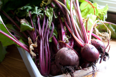 LG_2010_beets