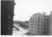 lplw019