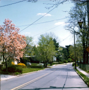 lplw049
