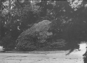 lplw061