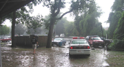 2005picnic2w