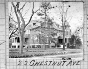 Chestnut022