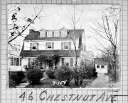 Chestnut046
