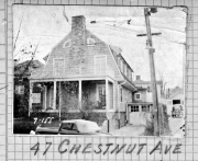 Chestnut047