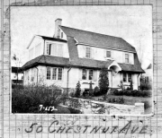 Chestnut050