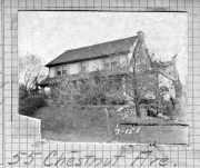Chestnut055