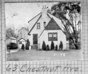 Chestnut063
