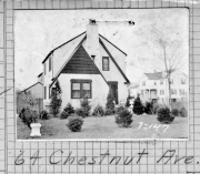 Chestnut064