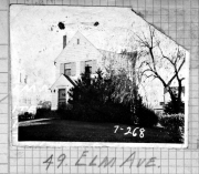 Elm049