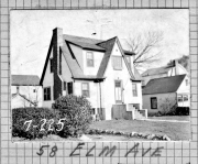 Elm058