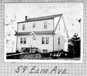 Elm059