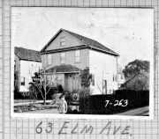 Elm063