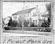 ForestPark001